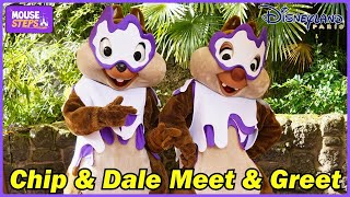 Chip & Dale as Ghosts Meet & Greet at DIsneyland Paris Halloween Festival 2024 - Tic et Tac