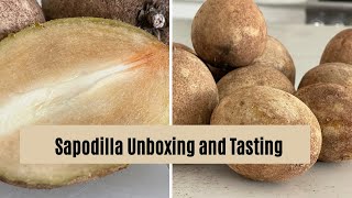 Sapodilla Unboxing and Tasting Tropical fruit