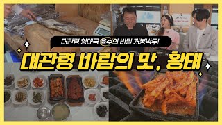 [경이로운 세상] 대관령 바람의 맛, 황태