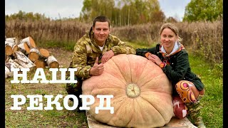 #159. Урожай 2024. ГИГАНТская тыква! 200+ литров компота. [Жизнь на своей земле]