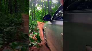 Tiger Reserve Pilibhit 😱 Dangerous Area #youtubeshorts #vitarabrezza #shorts