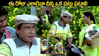 ఈ రోజు ఎలాగైనా దీన్ని ఒక పట్టు పట్టాలి || MS Narayana Hillarious Comedy Scenes  @iDreamKumuramBheem