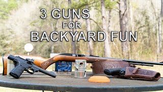 3 Guns for Under $1000 for Backyard Fun