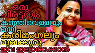 100% Guarentee.. കരിമംഗല്യം,മുഖക്കുരു ഇവ പൂർണ്ണമായി മാറാൻ Natural Remedy..