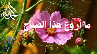 استمتع بأجمل صباح مليء بالسعادة والطاقة الإيجابية! 😊🌺