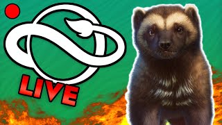 🔴 🐆!challenge Can We Fill a Zoo that is RANDOMLY generated in Planet Zoo?