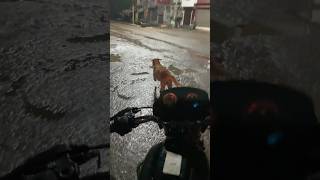 Barish ⛈️🌫️🌧️ #shortvideos #bike