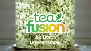 Tea Fusion Brew Chamber | Tea Fusion by Lipton