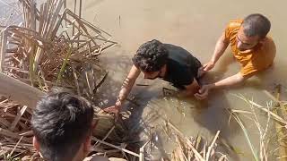 Catching fish with net in Pakistan! fishing videos! amazing fishing video