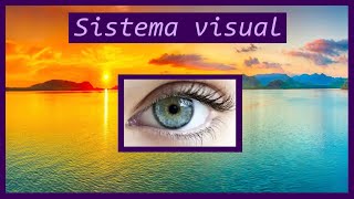 Sistema Visual