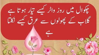 "Rose Water Arqy Gulab: From Tradition to Profitable Business Chakwal/by humayyun iltaf