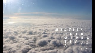 Medulla Retrospectiva 2017