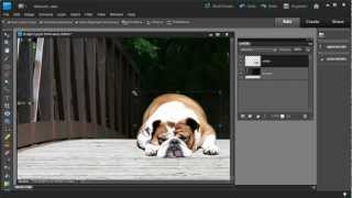 How to Combine Photos Using Photoshop Elements 10