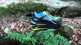 Approachschuh Salewa Alp Trainer GTX