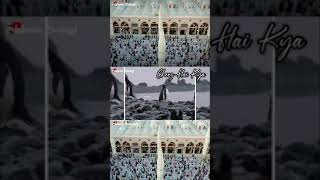 Rabbi Ul Awwal 2021 Best Naat Muhammad Nabina Full Screen #shorts