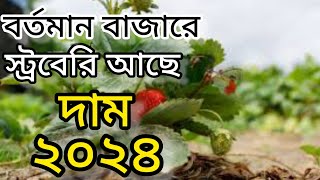 স্ট্রবেরি গাছের দাম কেমন. বর্তমান বাজারে গাছের দাম