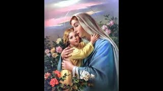 The Divine Maternity of The Blessed Virgin Mary Low Mass