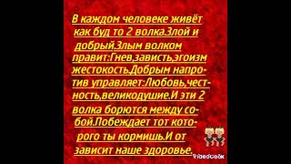 В нас как буд то 2 волка.