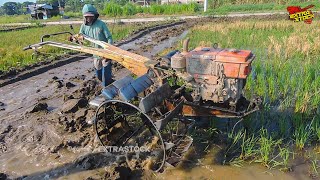 Joki Muda Bawa Traktor Mesin Kubota Tua Garap Lahan