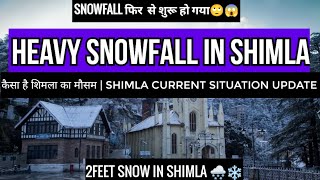 Shimla current situation update on 3 February | again snowfall in Shimla | mall road shimla