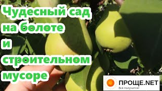 Летняя экскурсия по саду 2021🌸🍒🍐Мини-лесосад и принципы пермакультуры.Еда и декоративные.Экзоты. Ч.1