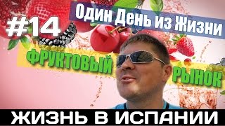 VLOG #14. ФРУКТОВЫЙ РЫНОК  АЛИКАНТЕ ИСПАНИЯ. Испания Жизнь в Испании Работа Недвижимость в Испании