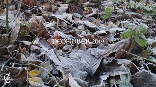 Monthly Memories | December 2019