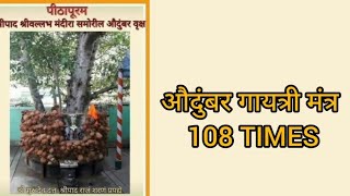 Audumbar Gayatri Mantra 108 Times | औदुंबर गायत्री मंत्र 108 Times