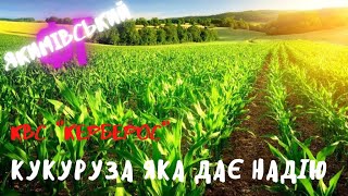 КВС "КЕРБЕРОС" (кукуруза яка дає надію)