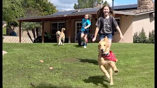 Stay At Home Challenge- Softball