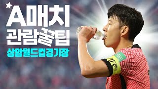 손흥민 축구 직관 2부 - 상암월드컵경기장 갈 때는 롯데시티호텔 마포