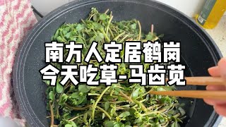 南方人带娃定居鹤岗，第一次吃马齿苋！有点像吃牛皮菜！