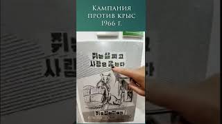 Борьба с крысами в Южной Корее в 1966 г. Пропагандистский плакат. #учукорейский