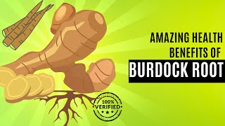 Unlock the Power of Burdock Root: Discover its Amazing Health Benefits