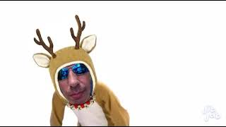 Macareindeer!!!  You know the song!! #shorts