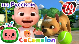 Песня о Моей Собаке🐶 | Детские Песенки CoComelon