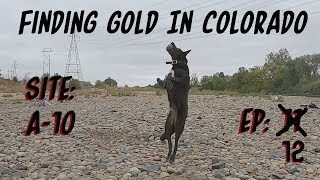 Finding Gold in Colorado: EP 12: Digging with YepWelp!!