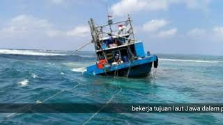 Tenggelamnya kapal cumi KM. Perintis Maju Terhempas Gelombang dan Terdampar di Karang Kapal