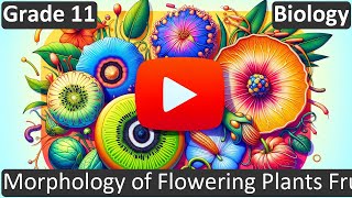 Class 11 | Biology | CBSE | Morphology of Flowering Plants Fruits | ICSE | Free Tutorial