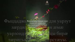 Фыццаджыдӕр кӕрӕдзи уарзут зӕрдиагӕй...   #Фӕдзӕхстытӕ #Осетия #Алания #осетинский #осетин