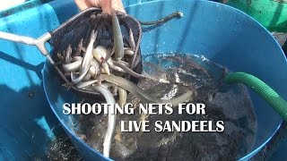 Shooting the nets for live sandeels on the Shambles Bank out of Weymouth UK