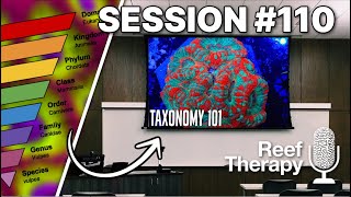 Diving into Coral Taxonomy Basics for Reef Keepers | #110