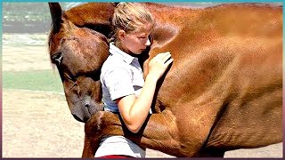 Animais Que Reencontraram Seus Donos Após Anos!