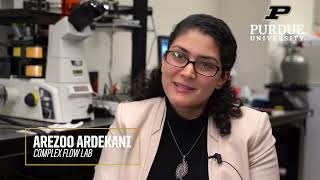 Arezoo Ardekani: Complex Flow Lab