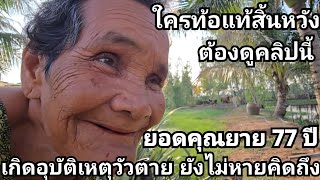 เกิดอุบัติเหตุวัวตาย ทุกวันนี้ยังไม่หายคิดถึงวัวเลย 77 ปี ยังมีความสุขทุกครั้งที่ได้เลี้ยงวัว วัวไทย