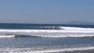 Ventura Surfers