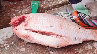 Market Life #24 Big Red Carb Fish with Big Eggs, People sell fish and many food