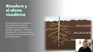 Tarea 1   Explorar la diversidad microbiana Andrés Marín Grupo 24