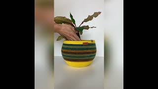 Yellow green Basket for plant Cotton rope basket