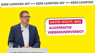 Aussprache Verbrennerverbot | David Wulff, MdL FDP-Fraktion | Landtag MV